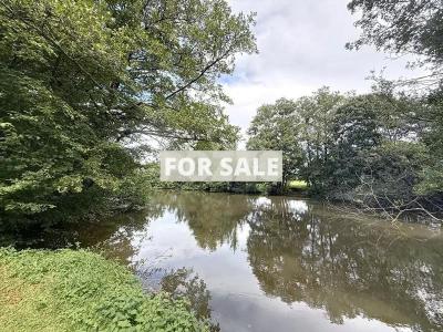 Detached Country House with Pond and Guest Gite