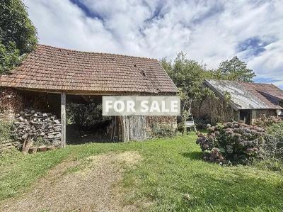 Detached Country House with Pond and Guest Gite