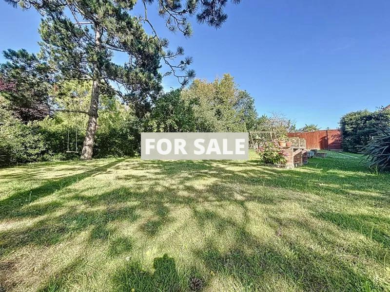 Property For Sale