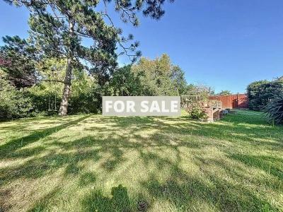 Property For Sale