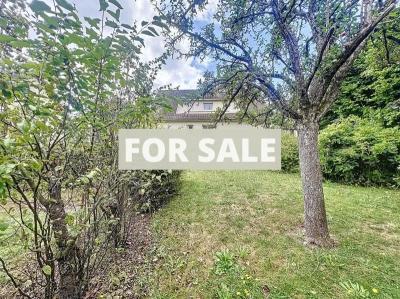 Detached House with Garden