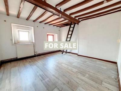 Lovely House with Character, Ideal Holiday Home