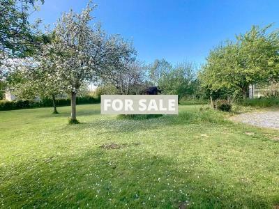 Detached Coastal House with Garden