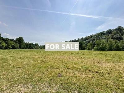 Detached Former Water Mill in Bucolic Location