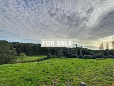 Manor House, Second House with Garden by the Coast