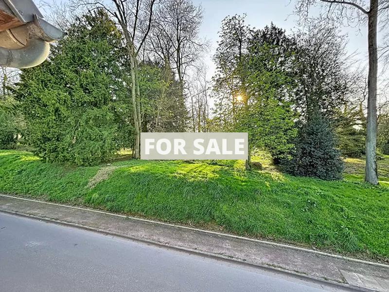 Town House in Good Order with Garden