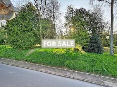 Town House in Good Order with Garden