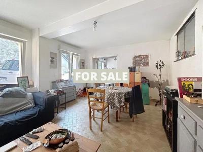 Town House in Good Order with Garden