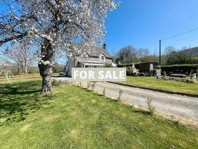 Property For Sale