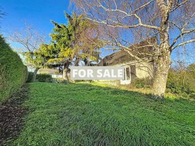 Detached House with Garden
