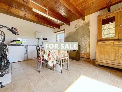 Detached Country House with Outbuilding