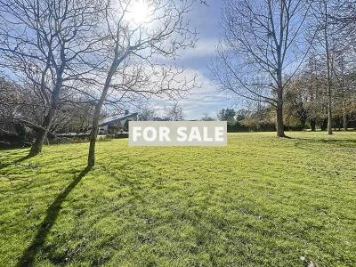 Contemporary Detached House Not Far from the Coast