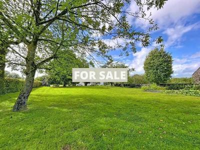 Property For Sale