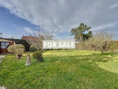 Detached House with Garden