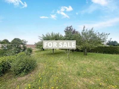 Property For Sale