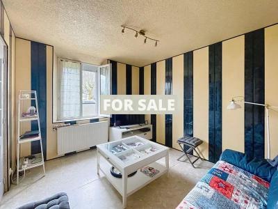 Detached House with Garden