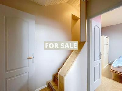 Detached House with Garden