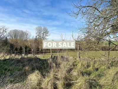 Detached Country House with Open Views