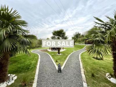 Property For Sale