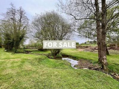 Property For Sale