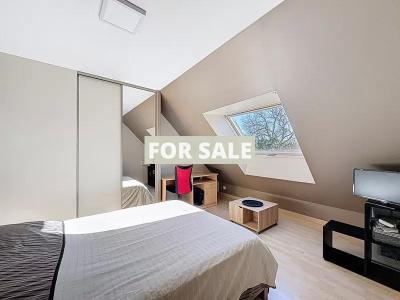 Modern Detached House with Garden