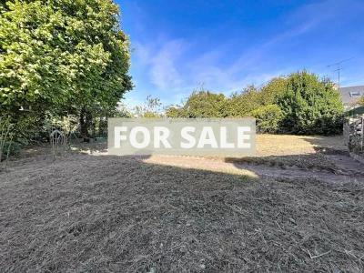 Town House with Neat Garden