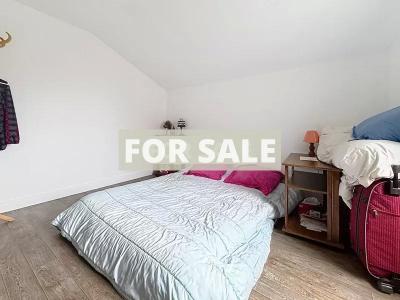 Cottage in Coastal Location, Lovely Home