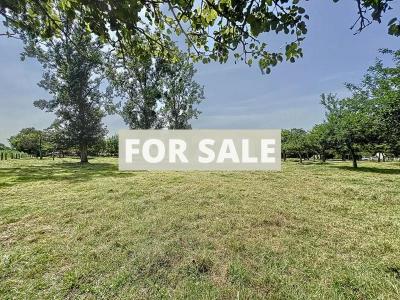 Detached Country House with Open Views