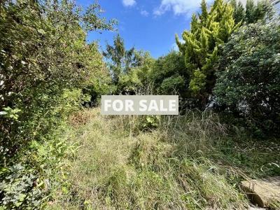 Lovely Cottage in Popular Coastal Sector