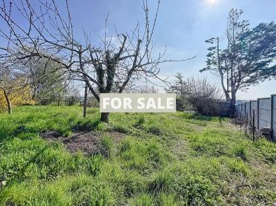 Property For Sale
