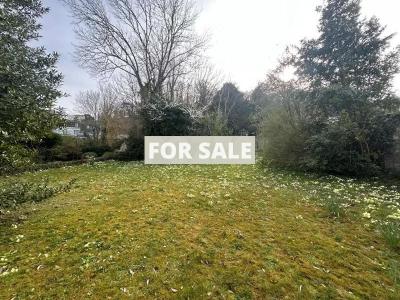 Period Property by the Coast with Lovely Garden