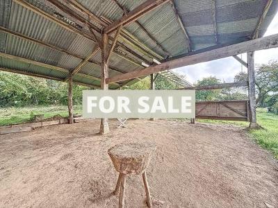 Detached Country House with Outbuilding