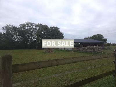 Detached Country House by the Coast