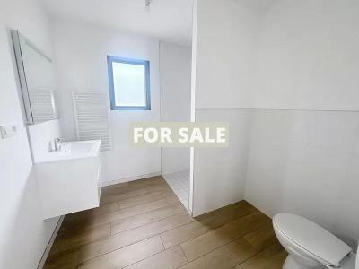 Contemporary Detached House