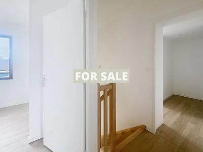 Contemporary Detached House