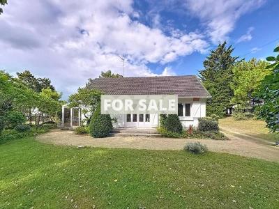 Property For Sale