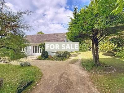 Property For Sale