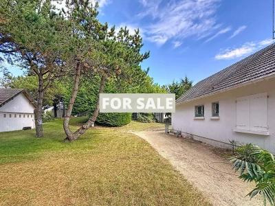Property For Sale
