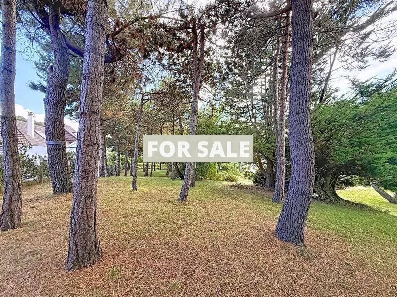 Property For Sale