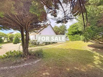 Property For Sale