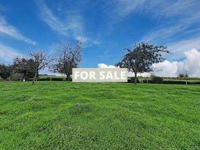 Detached Country House with Outbuilding