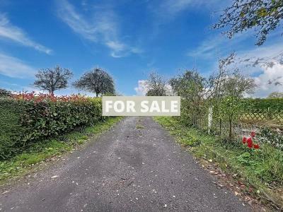 Detached Country House with Outbuilding