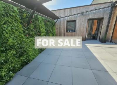 Contemporary Detached House