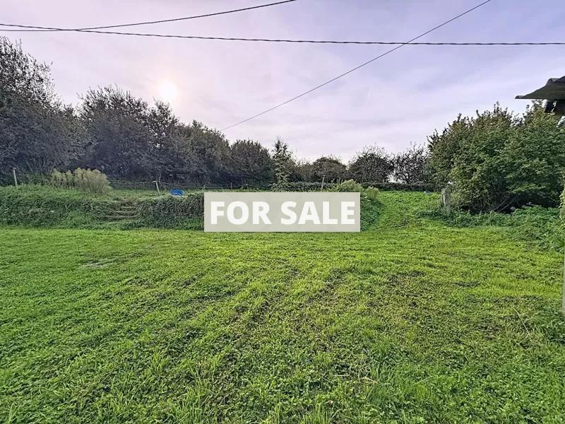 Traditional Detached House with Outbuildings