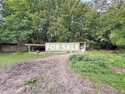 Traditional Detached House with Outbuildings