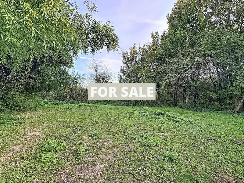 Traditional Detached House with Outbuildings