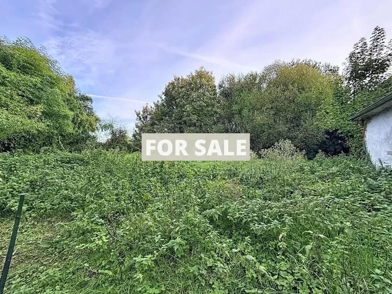 Traditional Detached House with Outbuildings