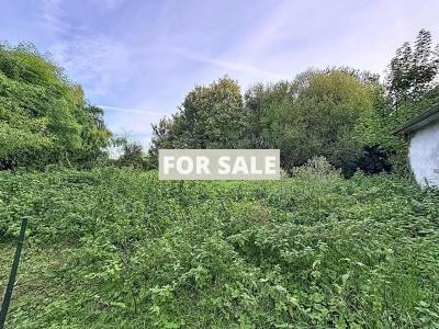 Traditional Detached House with Outbuildings