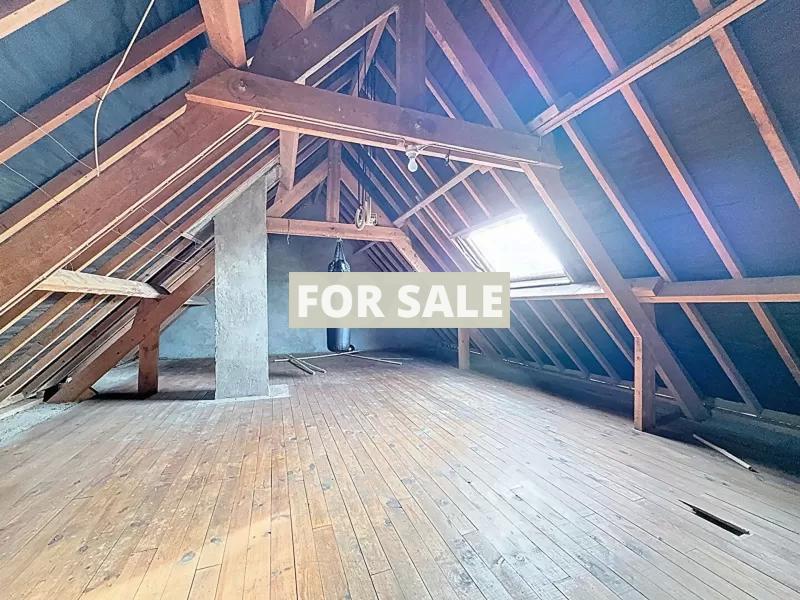 Traditional Detached House with Outbuildings