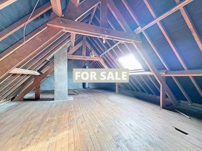 Traditional Detached House with Outbuildings